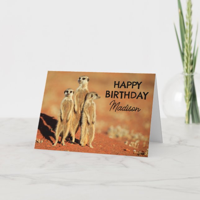 Happy Birthday | 3 Meerkats Karte (Vorderseite)