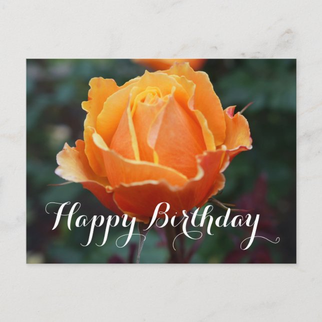 Happy Birthday About Face Rose #1 Postcard Postkarte (Vorderseite)