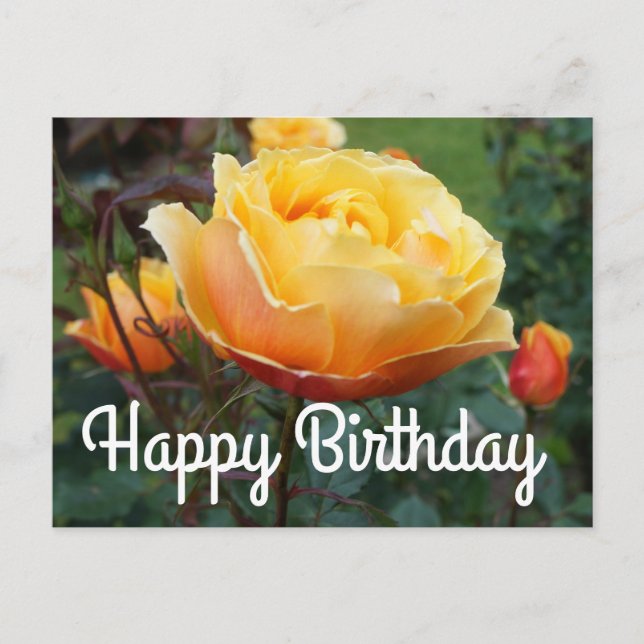 Happy Birthday About Face Rose #2 Postcard Postkarte (Vorderseite)