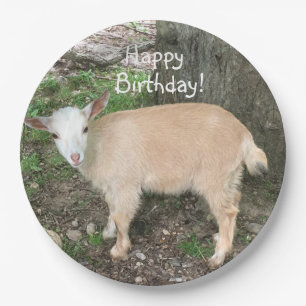Happy Birthday Adorable Baby Goat Pappteller