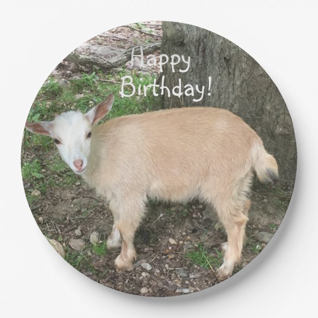 Happy Birthday Adorable Baby Goat Pappteller (Vorderseite)