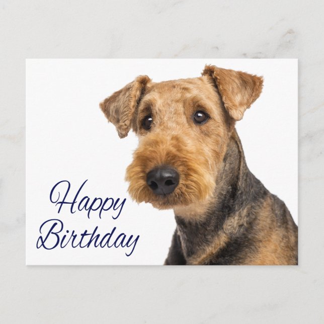 Happy Birthday Airedale Terrier Puppy Dog Blue Postkarte (Vorderseite)
