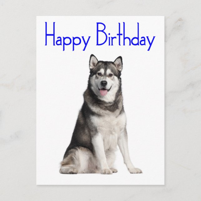 Happy Birthday Alaskan Malamute Puppy Dog Card Postkarte (Vorderseite)