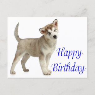 Happy Birthday Alaskan Malamute Puppy Dog Card Postkarte