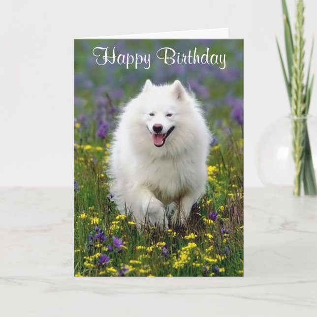 Happy Birthday American Eskimo Grußkarte Karte (Vorderseite)
