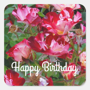 Happy Birthday Amerikanische Unabhängigkeitstag Ro Quadratischer Aufkleber