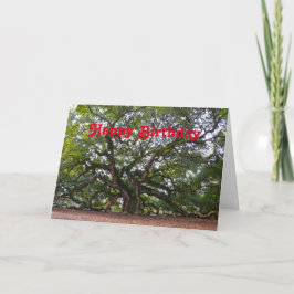 Happy Birthday Angel Oak South Carolina Karte