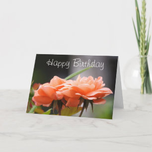 Happy Birthday Apricot Rose Card Karte