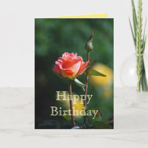 Happy Birthday Apricot und Yellow Rose Card Karte