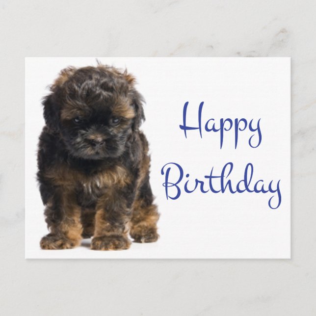 Happy Birthday Baby Havanese Puppy Dog Postkarte (Vorderseite)