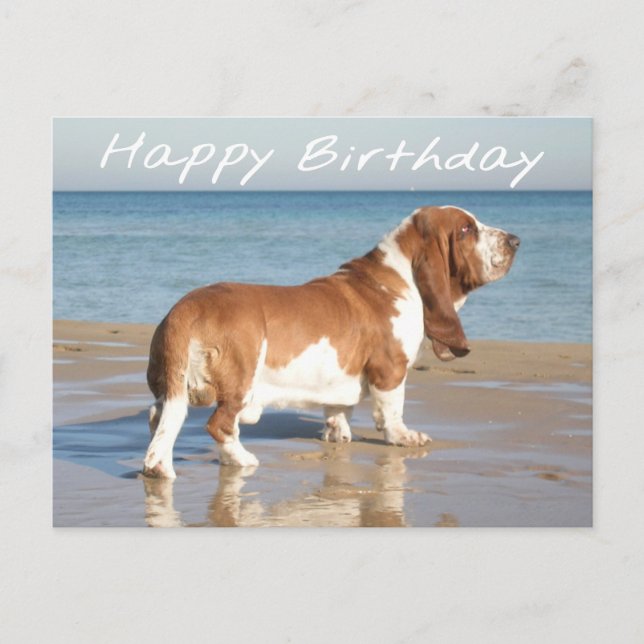 Happy Birthday Basset Hound Puppy Dop Card Postkarte (Vorderseite)