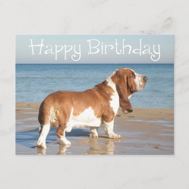Happy Birthday Basset Hound Puppy Dop Card Postkarte (Vorderseite)