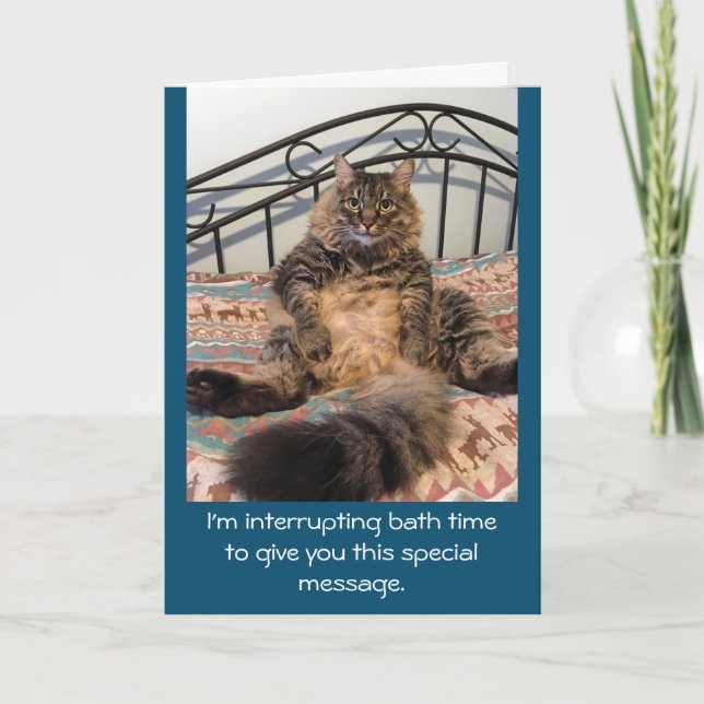 Happy Birthday Bath Time Kimber Cat Karte (Vorderseite)