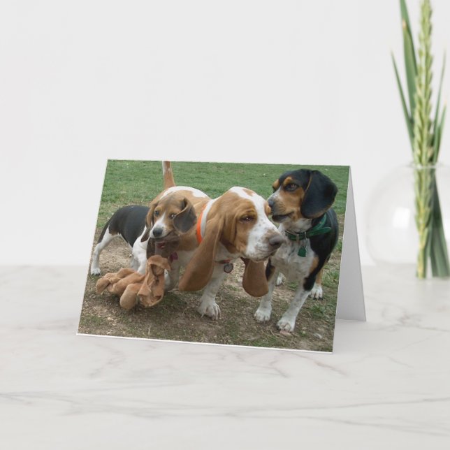 Happy Birthday Beagle Basset Hound Card Karte (Vorderseite)