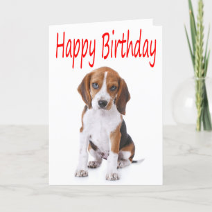 Happy Birthday Beagle Puppy Dog Greeting Card Karte