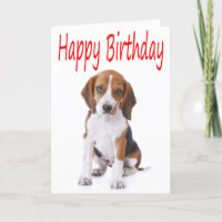 Happy Birthday Beagle Puppy Dog Grußkarte
