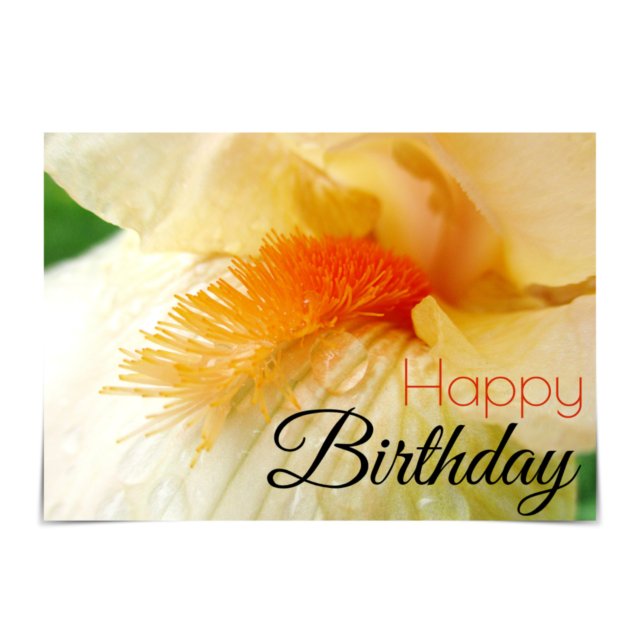 "Happy Birthday" Bearded Iris Card Karte (Von Creator hochgeladen)