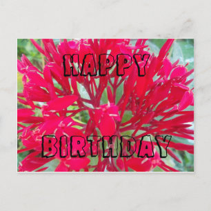 Happy Birthday Beautiful Red Blume Postcard Postkarte