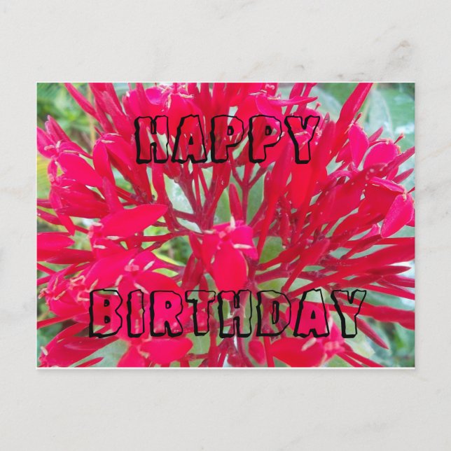 Happy Birthday Beautiful Red Blume Postcard Postkarte (Vorderseite)