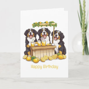 Happy Birthday Bernese Mountain Dog Lemonade Stand Karte