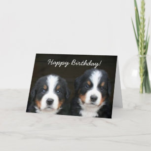 Happy Birthday Bernese Welpen Grußkarte Karte