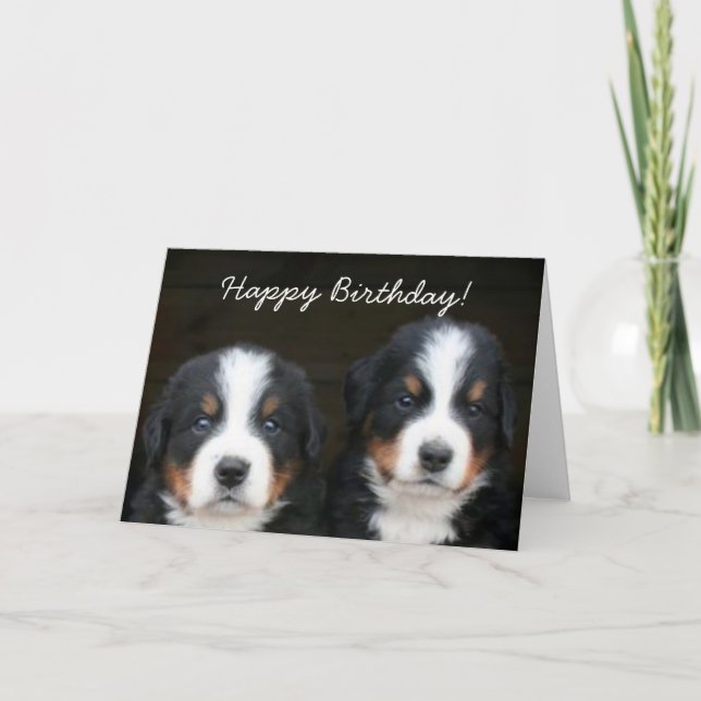 Happy Birthday Bernese Welpen Grußkarte Karte (Vorderseite)