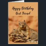 Happy Birthday Best Friend Funny Girl<br><div class="desc">Eine lustige Karte für Ihren fleißigen Best Friend,  der sie daran erinnert,  sich mit einem niedlichen entspannenden,  Chillout Eichhörnchen süße Tier zu entspannen. Inside Verse: Und Sie wissen schon,  dass Sie am Geburtstag einfach nur kühlen und entspannen sollen,  oder?</div>
