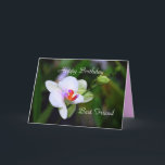 Happy Birthday Best Friend Phalaenopsis Orchid Car Karte<br><div class="desc">Die Familie Orchid ist eine morphologisch vielfältige und weit verbreitete Familie von Monocots in der Reihenfolge Asparagales, nach Wikipedia. Die Pflanze ist die größte Blütenfamilie , mit 21.950 bis 26.049 derzeit anerkannten Arten, die in 880 Gattungen vorkommen. Die Anzahl der Orchideen ist mehr als doppelt so hoch wie die Zahl...</div>