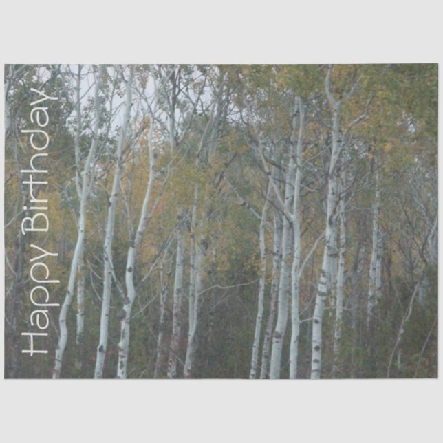 Happy Birthday Birch Bark Tissue Paper Seidenpapier (Vorderseite)