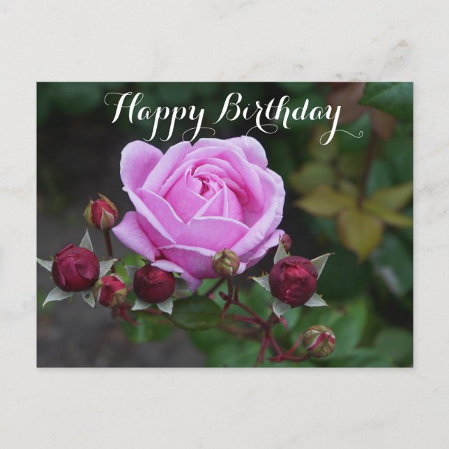 Happy Birthday Bischof Burg Rose #1 Postkarte (Vorderseite)