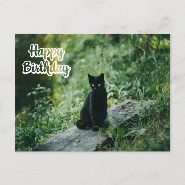Happy Birthday Black Cat Outdoor Postkarte (Vorderseite)