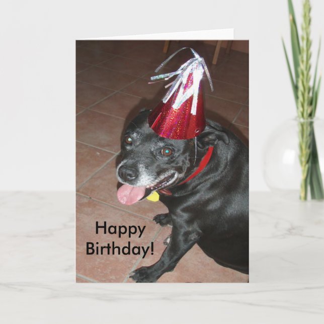 Happy Birthday Black Dog mit Red Hat Karte (Vorderseite)