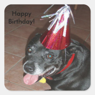 Happy Birthday Black Dog mit Red Hat Quadratischer Aufkleber