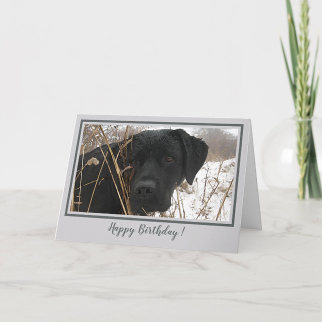 Happy Birthday Black Lab - Graues Enten Jagdhund Karte (Vorderseite)
