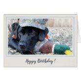 Grußkarte Mit Schwarzem Labrador – Aquarell-Design, Blanko Innen, 14,4x14,4 Cm