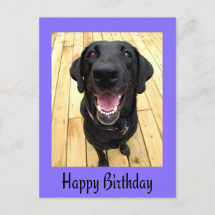 Happy Birthday Black Labrador Retriever Post Card Postkarte