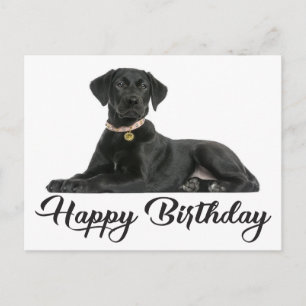 Happy Birthday Black Labrador Retriever Puppy Dog Postkarte