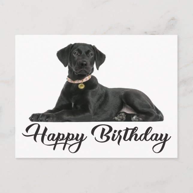 Happy Birthday Black Labrador Retriever Puppy Dog Postkarte (Vorderseite)