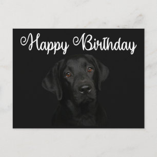 Happy Birthday Black Labrador Retriever Puppy Dog Postkarte