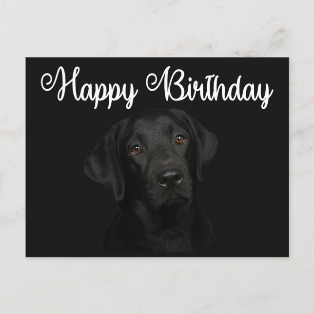 Happy Birthday Black Labrador Retriever Puppy Dog Postkarte (Vorderseite)