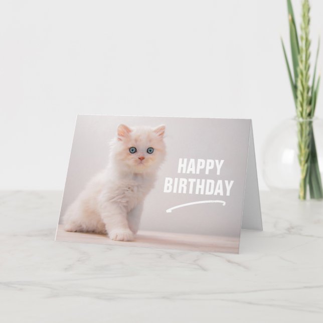 Happy Birthday | Blue Eye Kitten Karte (Vorderseite)