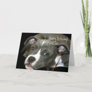 Happy Birthday Blue Pitbull Puppy Begrüßungskarte Karte