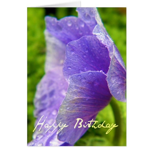 Happy Birthday Blume (Vorne)