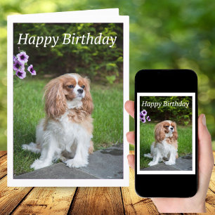 Happy Birthday Blume Cavalier King Spaniel Card Karte