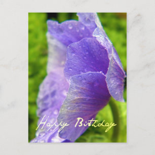 Happy Birthday Blume Postkarte