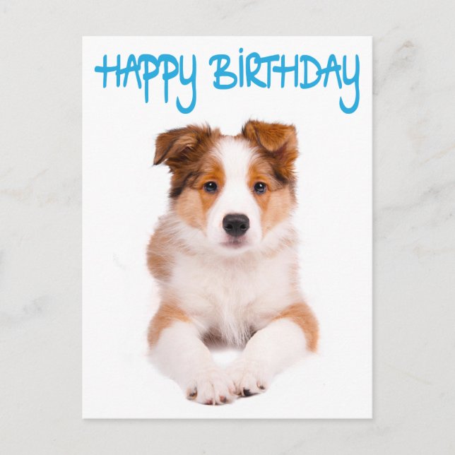 Happy Birthday Border Collie Puppy Dop Card Postkarte (Vorderseite)