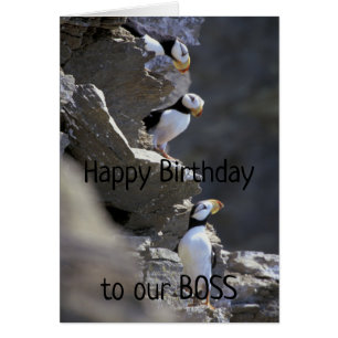 Happy Birthday Boss Niedlich Puffin Birds Tier Spa