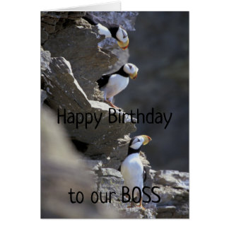 Happy Birthday Boss Niedlich Puffin Birds Tier Spa