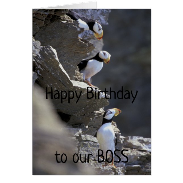 Happy Birthday Boss Niedlich Puffin Birds Tier Spa (Vorne)