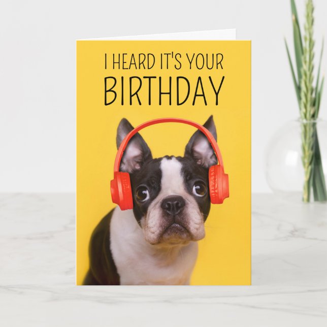 Happy Birthday | Boston Terrier Karte (Vorderseite)